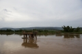 During the  Genocide thousands of Tutsis and moderate Hutus were murdered on the river banks and in the swamps. Their bodies were thrown in the  Nyabarongo river.